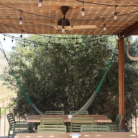 Alma Liebre Vinedos Del Valle 장크트 고아르스하우젠 외부 사진