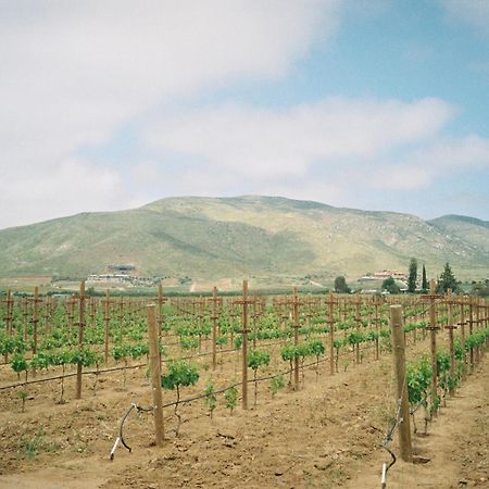 Alma Liebre Vinedos Del Valle 장크트 고아르스하우젠 외부 사진