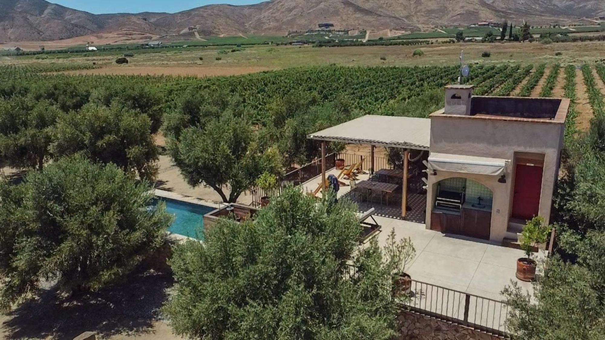 Alma Liebre Vinedos Del Valle 장크트 고아르스하우젠 외부 사진