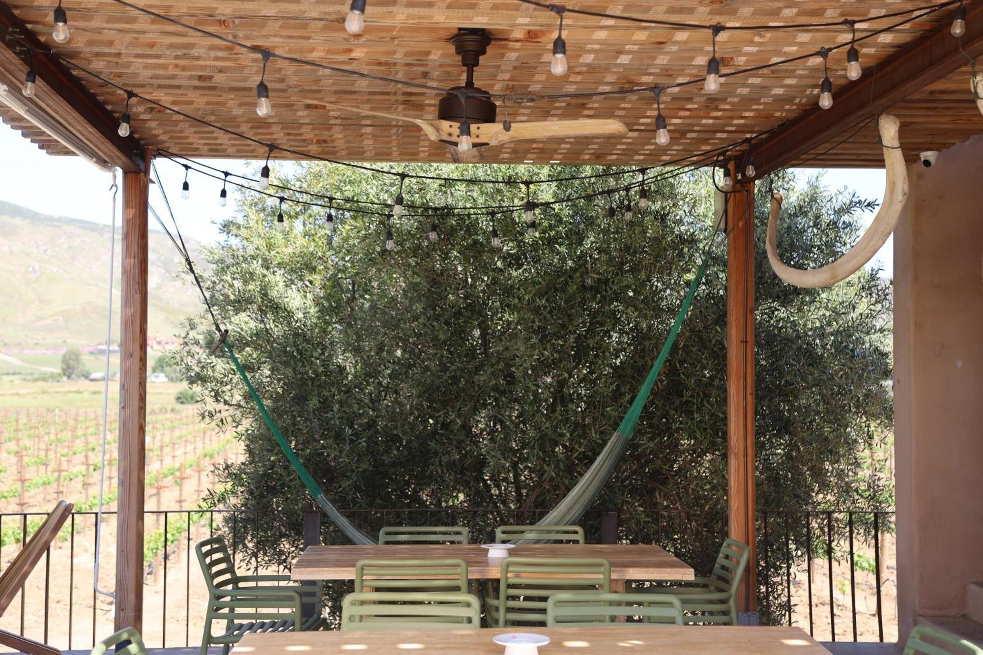 Alma Liebre Vinedos Del Valle 장크트 고아르스하우젠 외부 사진