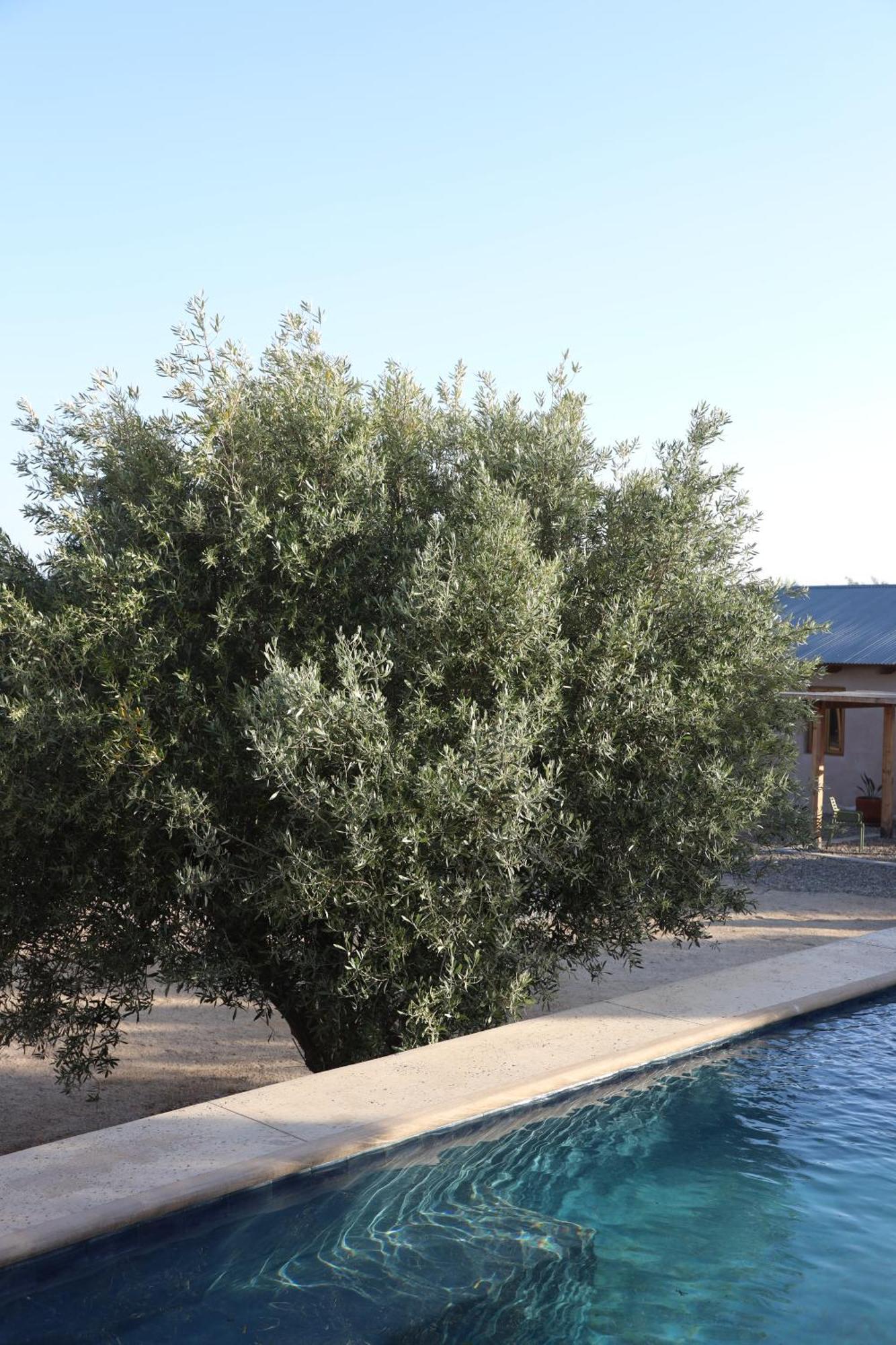 Alma Liebre Vinedos Del Valle 장크트 고아르스하우젠 외부 사진